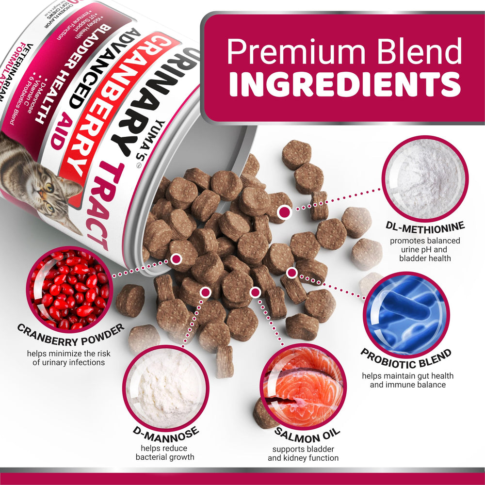 YUMA'S GATO ingredientes naturales: fortalecen inmunidad y salud digestiva.