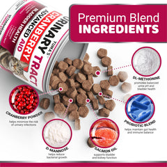 YUMA'S GATO ingredientes naturales: fortalecen inmunidad y salud digestiva.