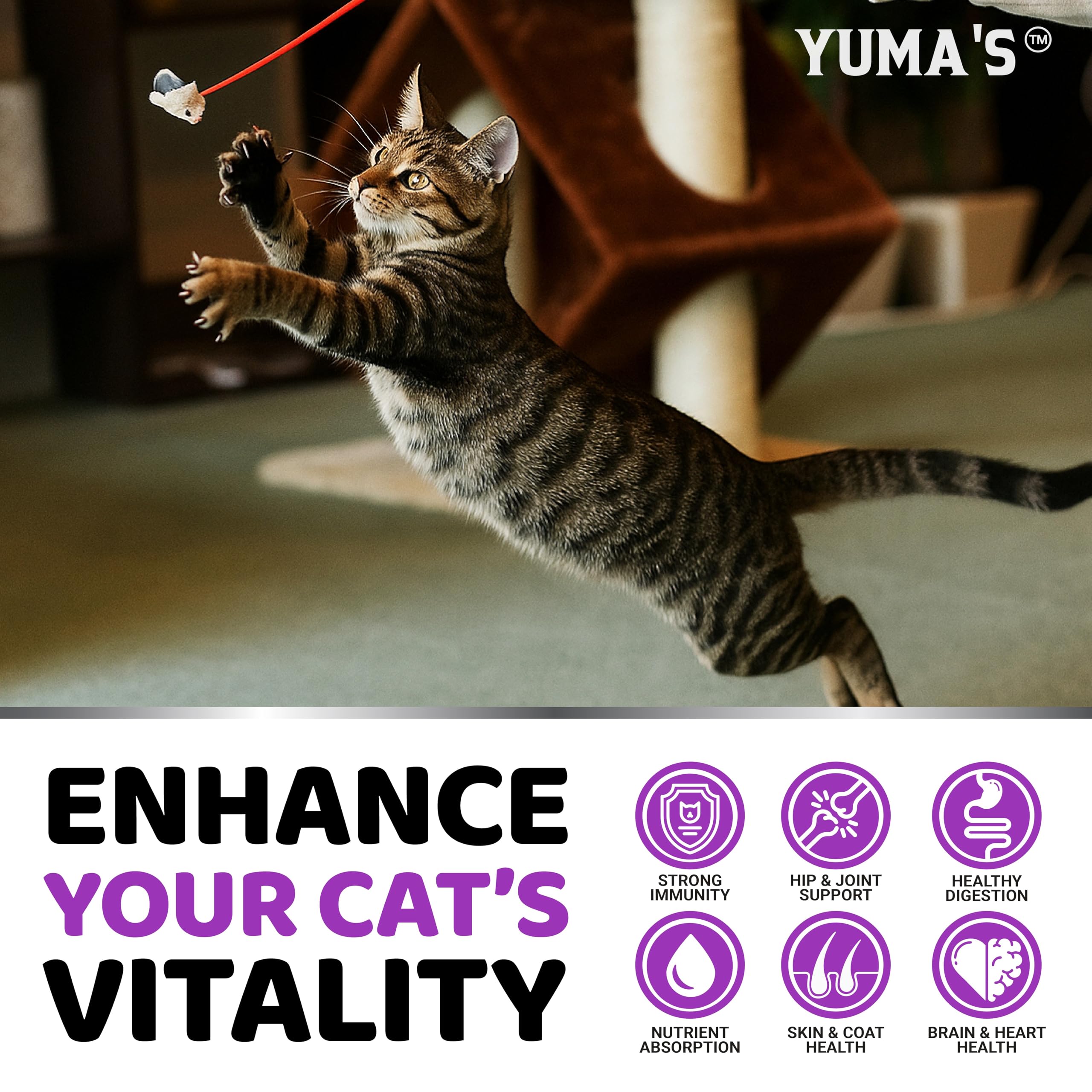 YUMA'S gominolas para gatos, envase práctico para consumo diario.