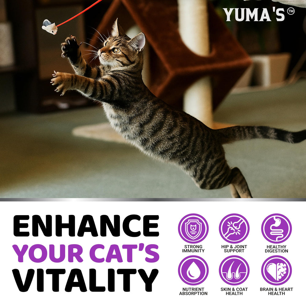 YUMA'S gominolas para gatos, envase práctico para consumo diario.