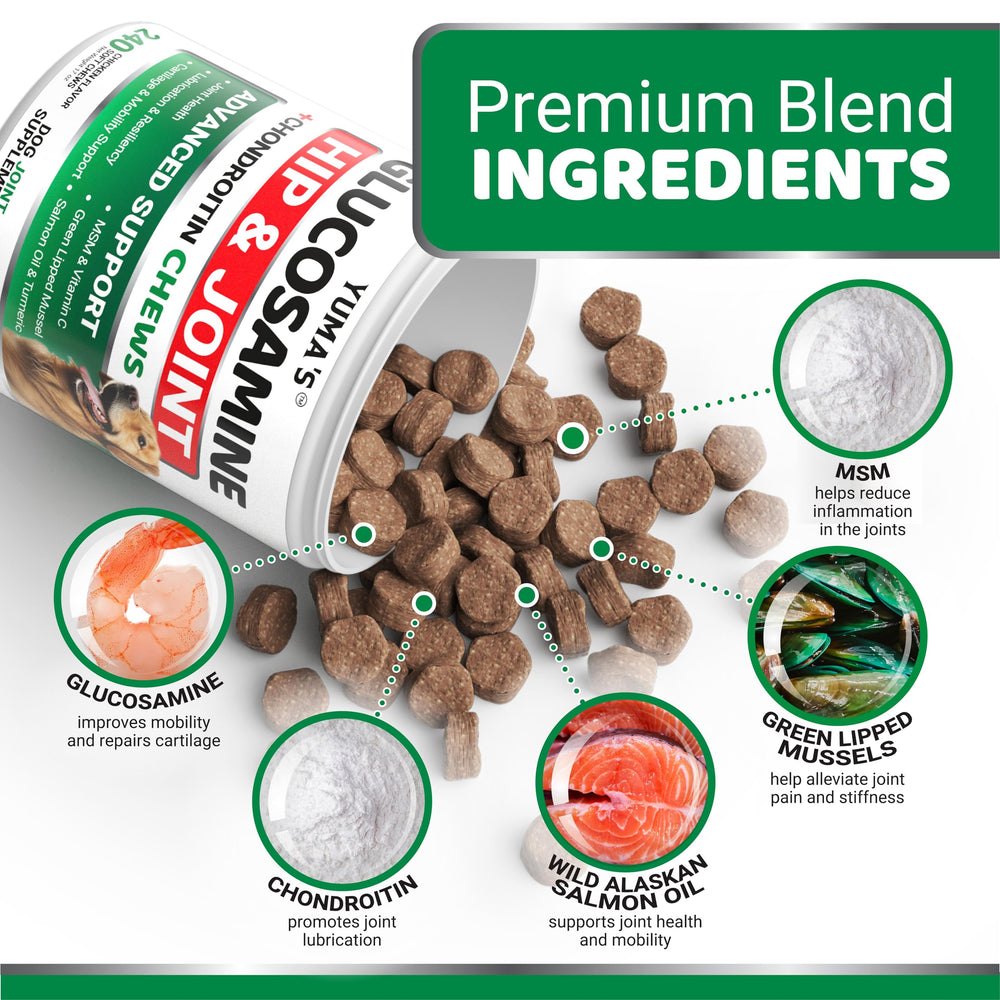 YUMA'S Glucosamine Dogs 240 chews small dog demonstrates easy chew for small breeds.