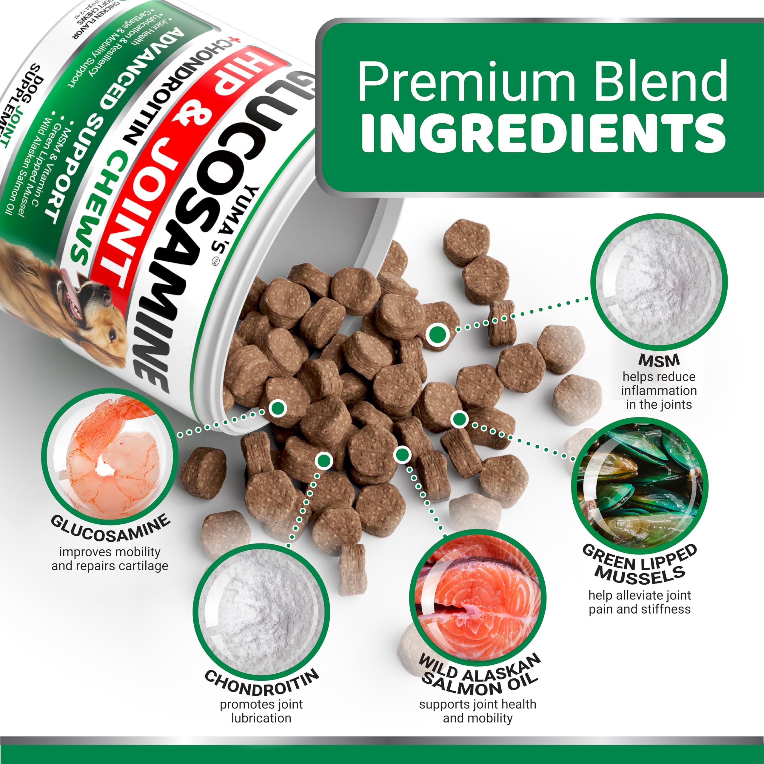 YUMA'S glucosamine-chondroitin dog chews promoting flexible movement through senior and puppy stages.