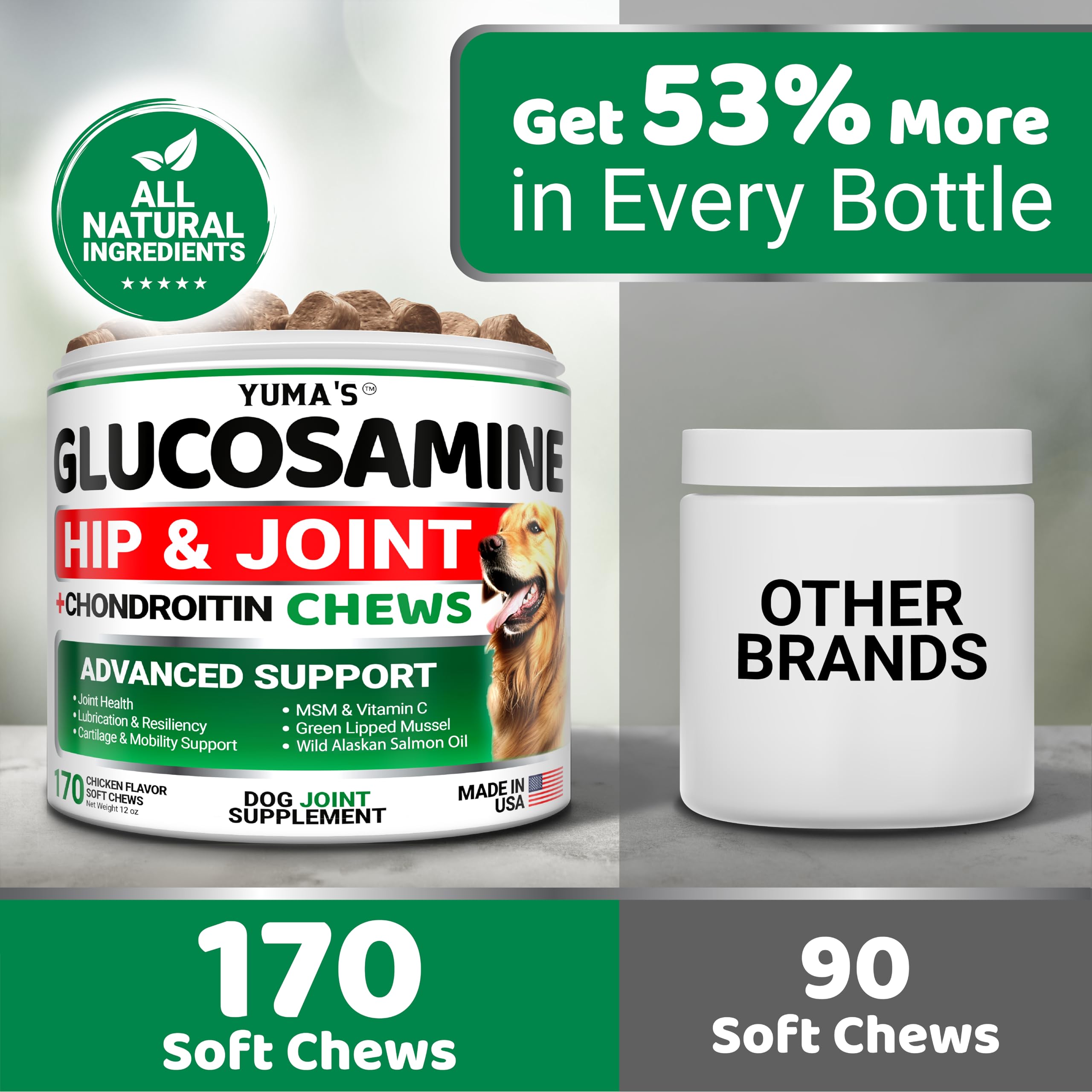 YUMA'S glucosamine dog chews with MSM support joint comfort for active play.