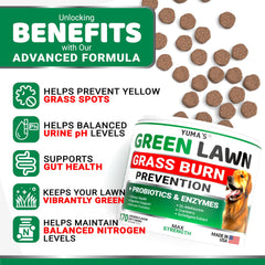 YUMA'S green lawn treats for dogs with probiotics promoting digestive wellness
