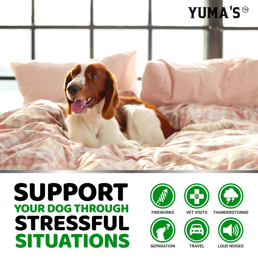 YUMA'S Hemp Calming Chews dog enjoying a treat during barking episodes.