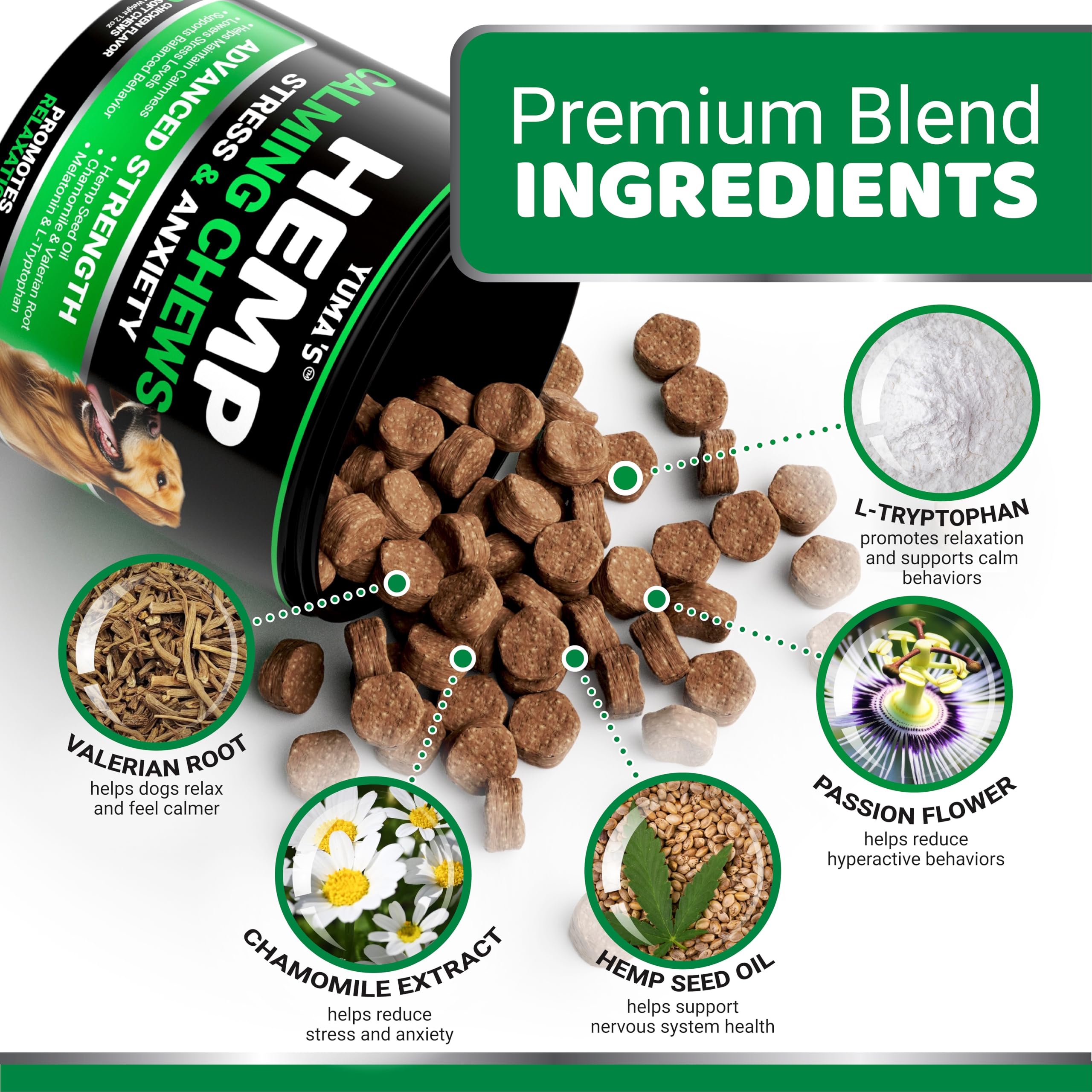 YUMA'S hemp calming chews on a relaxed dog moment