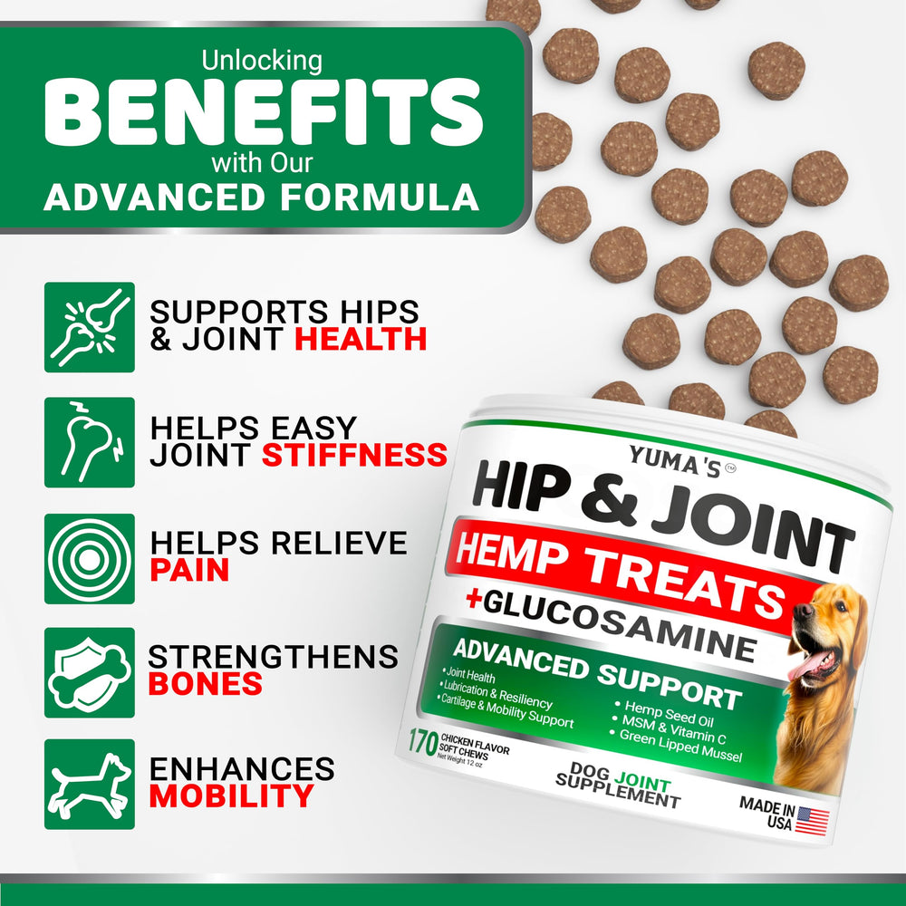YUMA'S hemp joint chews closeup highlights treat-like format for daily use.