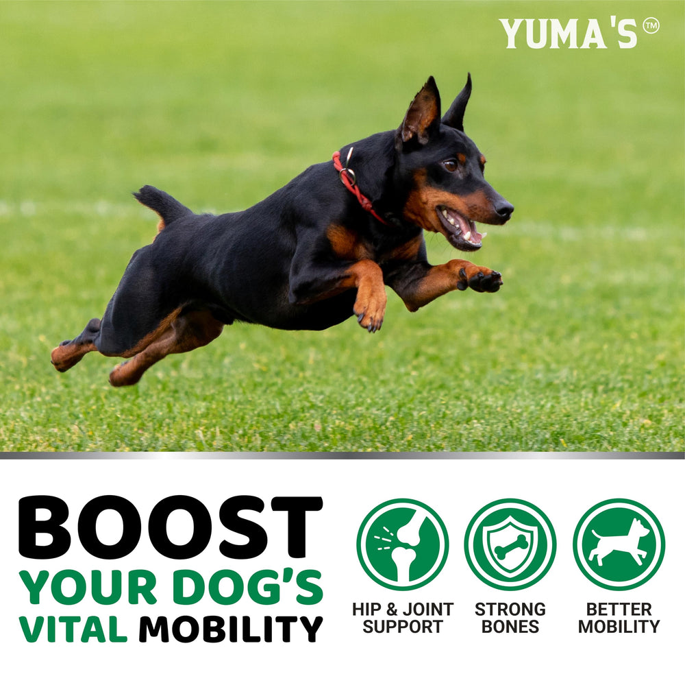 YUMA'S hemp hip-joint supplement ingredients view shows glucosamine and chondroitin components.
