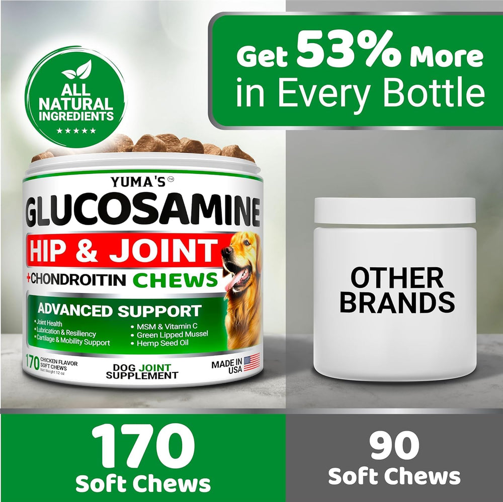 YUMA'S hip and joint support chews for dogs.