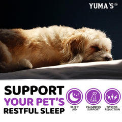 YUMA'S Melatonin for Dogs storm-use scene shows calming nerves during thunder.