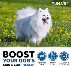 YUMA'S Omega 3 dogs salmon-flavor chews demonstrates palatable option for coat vitality.
