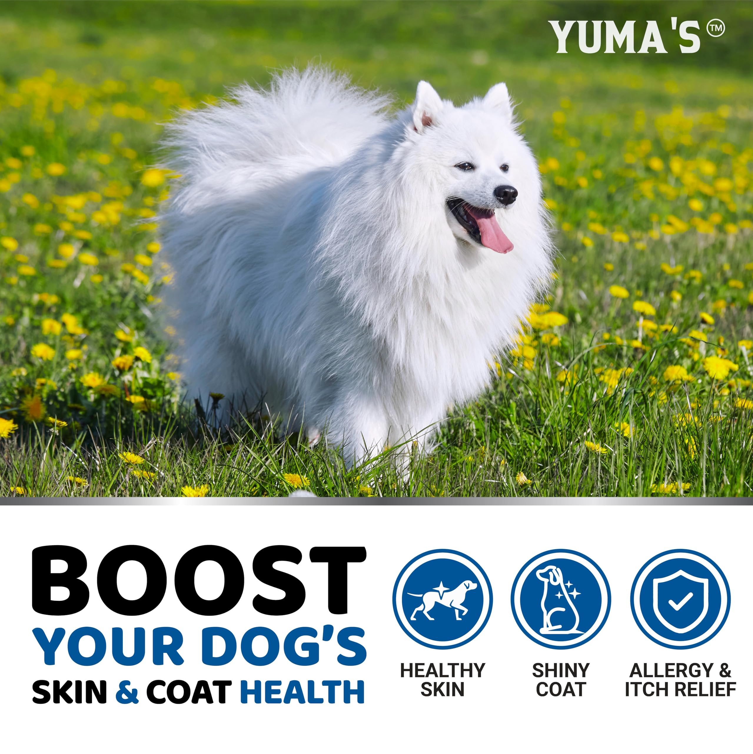 YUMA'S Omega-3 dog skin-coat close-up highlights glossy fur and itch relief potential