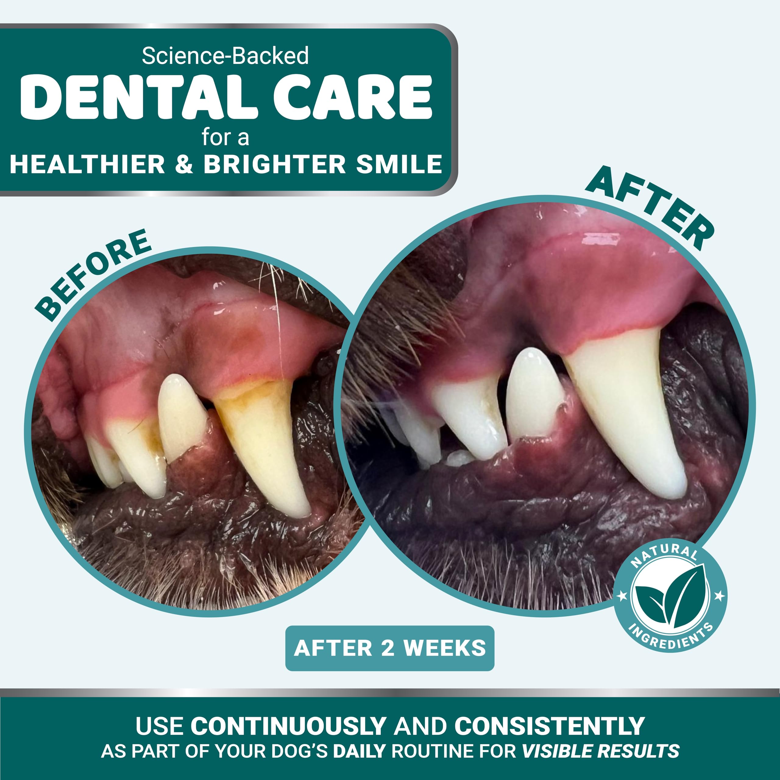 YUMA'S polvo dental para perros, controla el mal olor bucal.