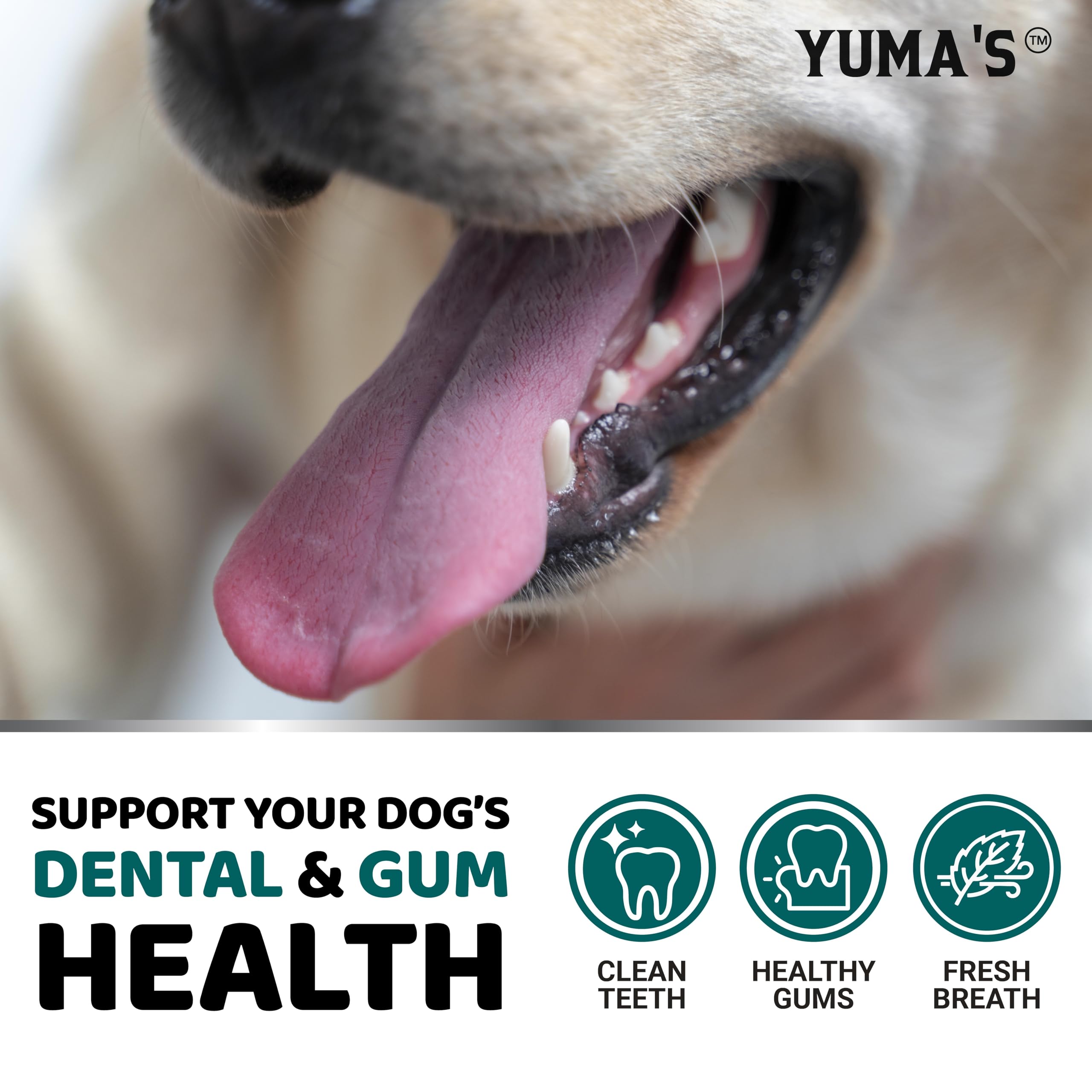 YUMA'S polvo dental para perros, fórmula con probióticos beneficiosos.
