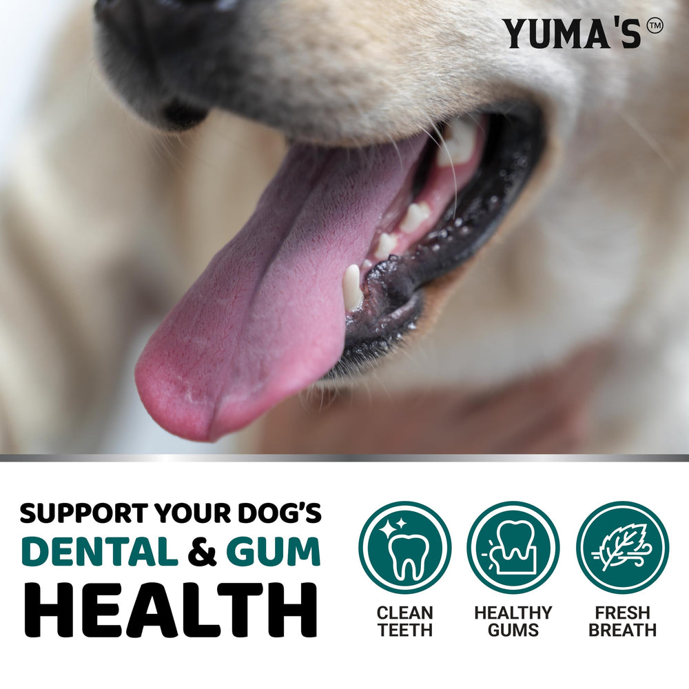 YUMA'S polvo dental para perros, fórmula con probióticos beneficiosos.