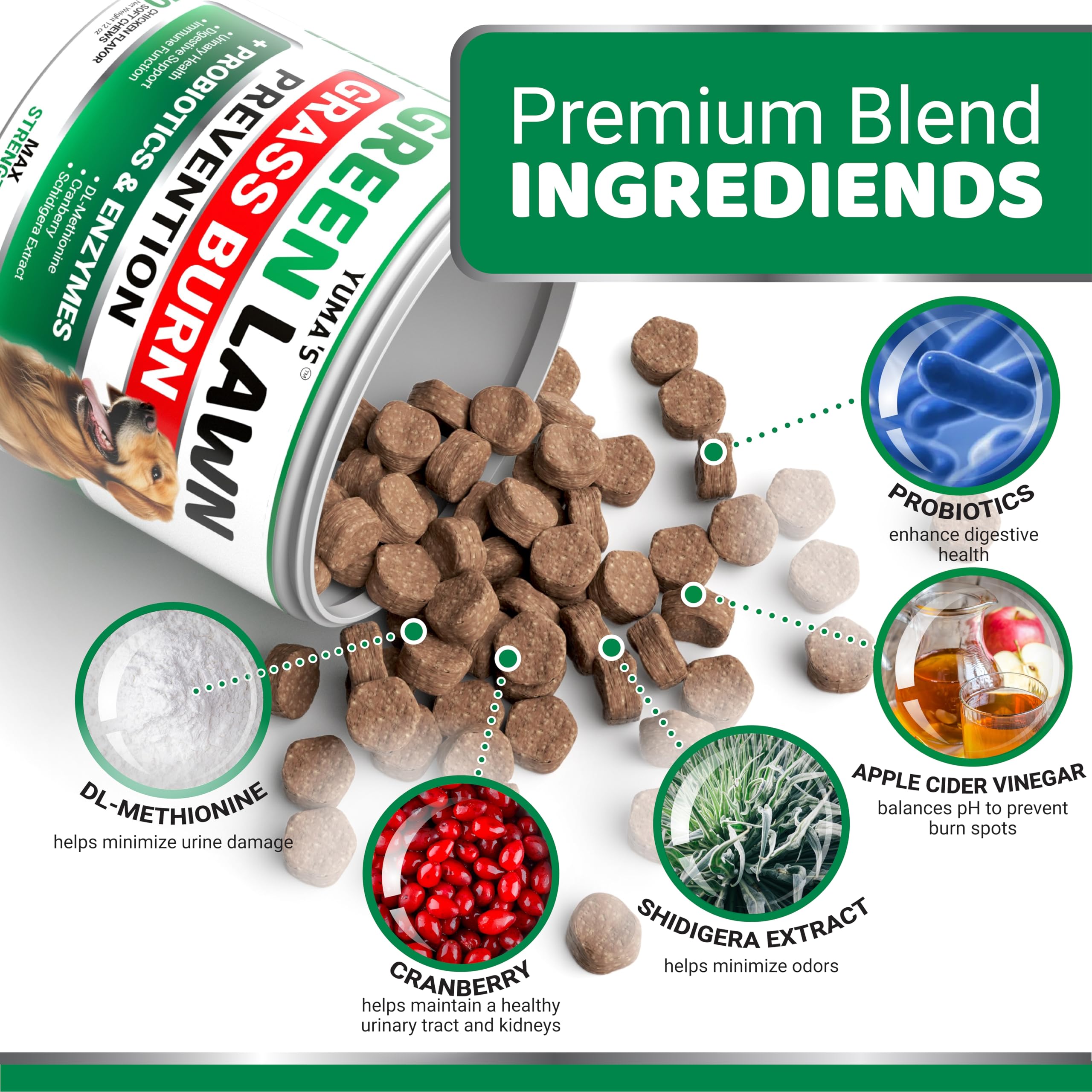 YUMA'S probiotic-digestive enzymes dogs chews supporting digestion and urine health