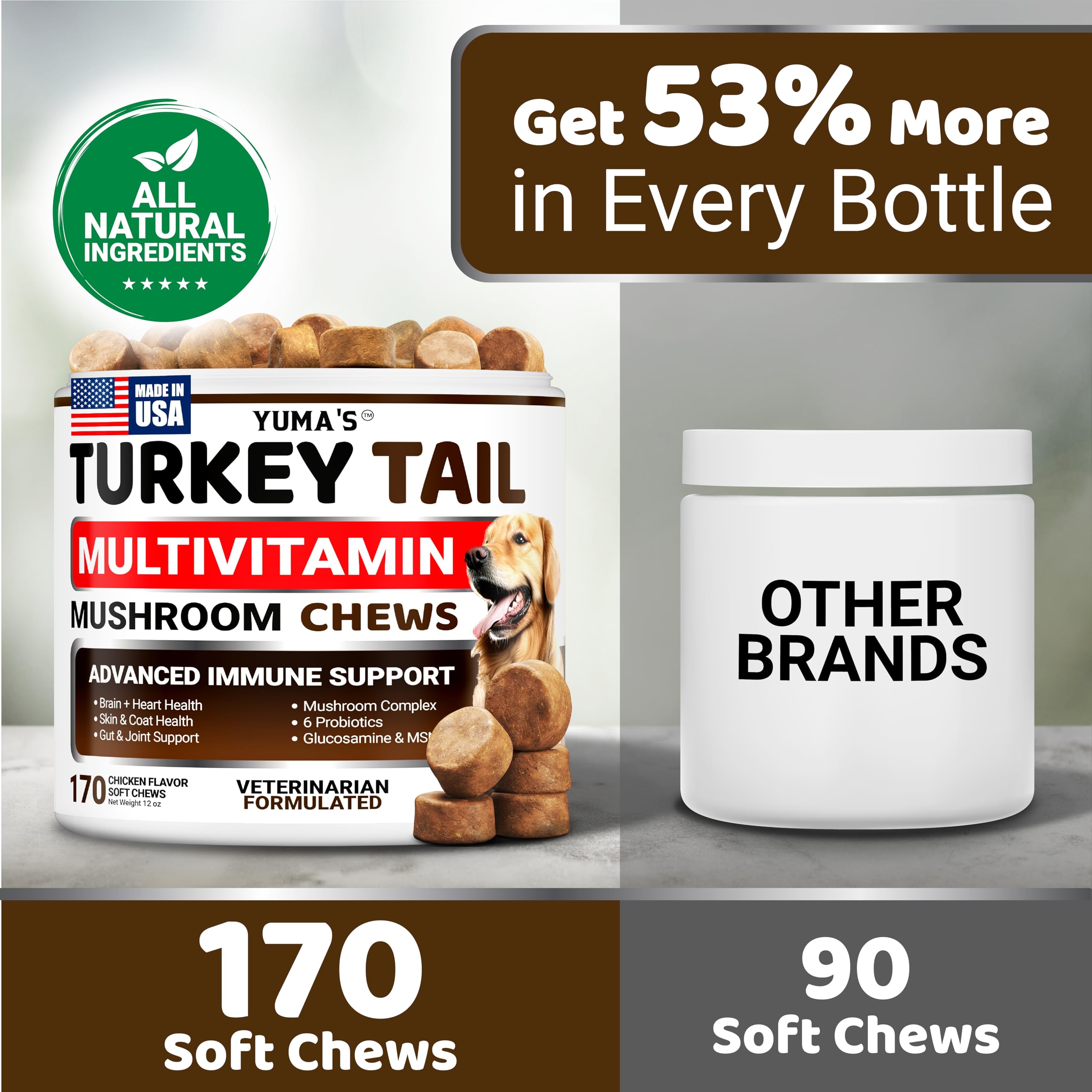 YUMA'S Turkey Tail dog chews support brain health and natural energy.