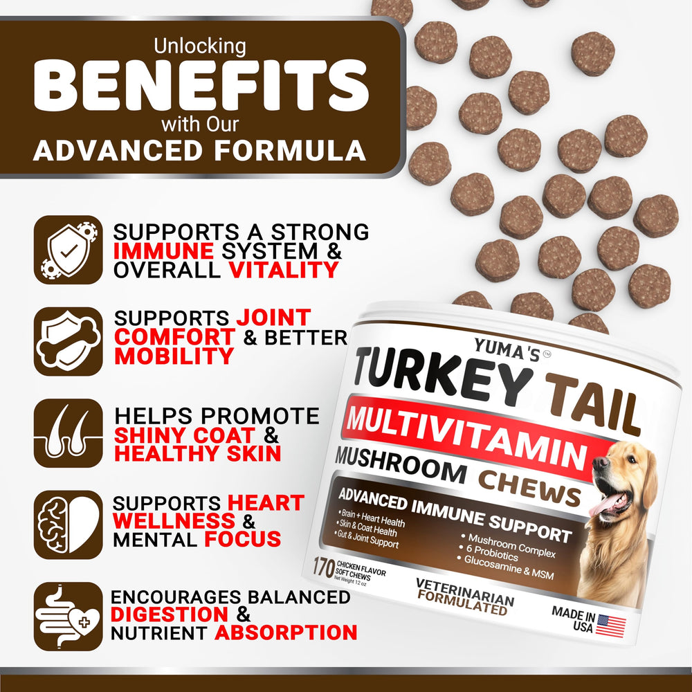 YUMA'S Turkey Tail dog chews support joints for active dogs.