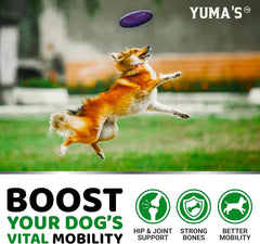 YUMA'S veterinarian-formulated USA-made chew supplement for joints.