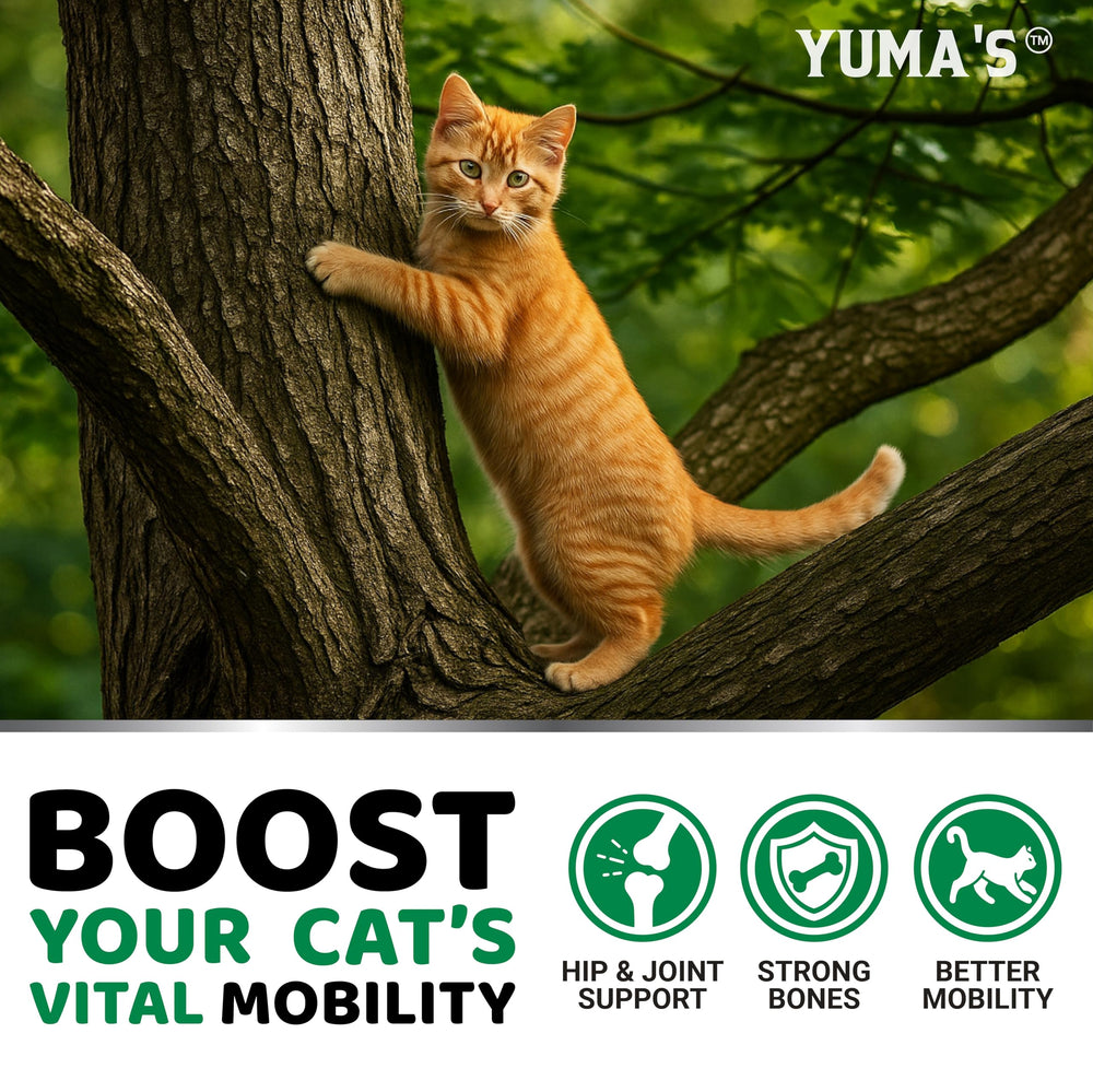 YUMA'S fórmula veterinaria para articulaciones de gatos