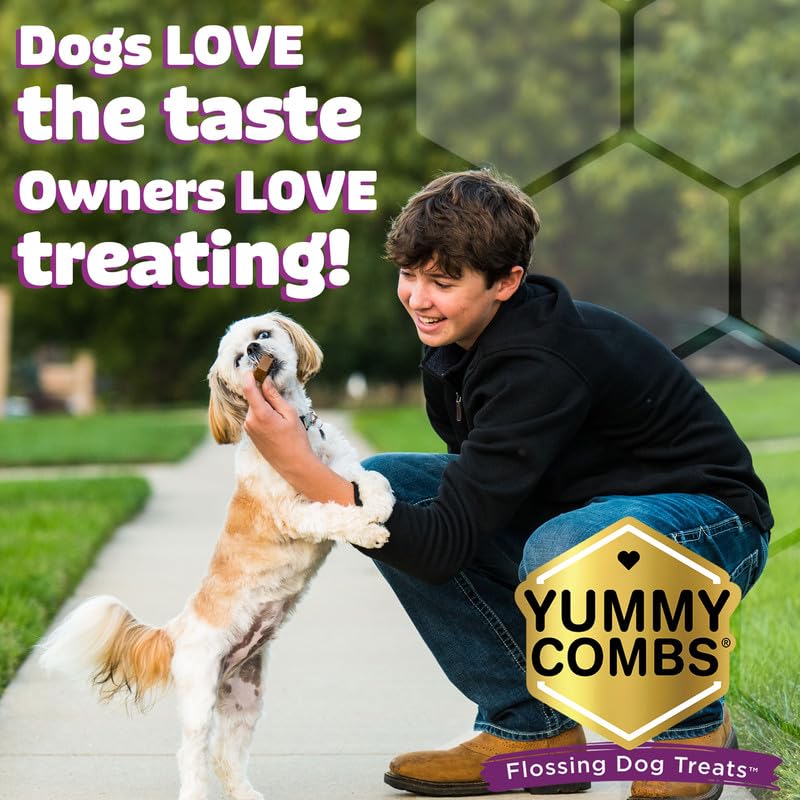 Yummy Combs extra-small-dogs shot shows safe, size-appropriate chewing