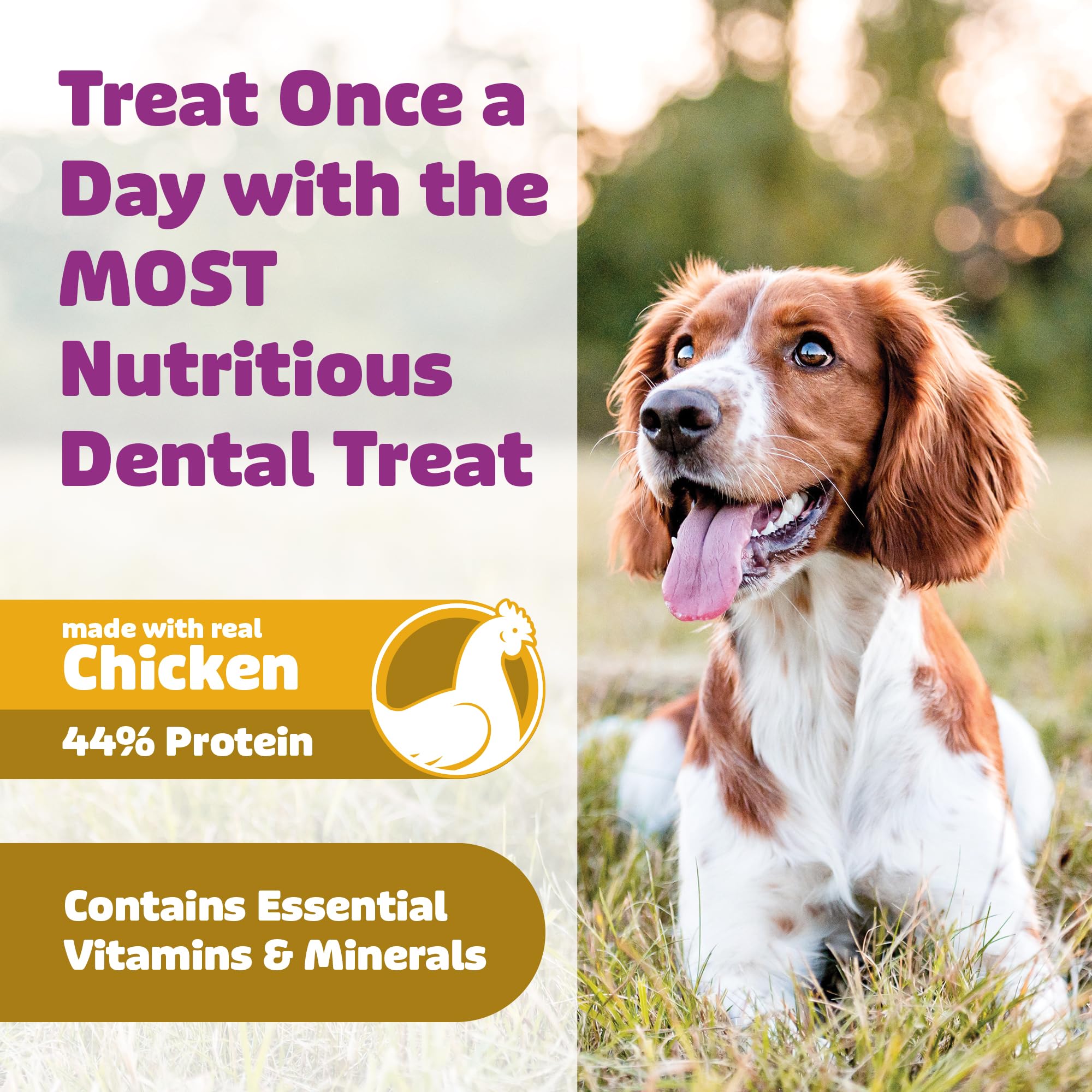 Yummy Combs vet-approved-safety-test image reinforces safety-focused design.