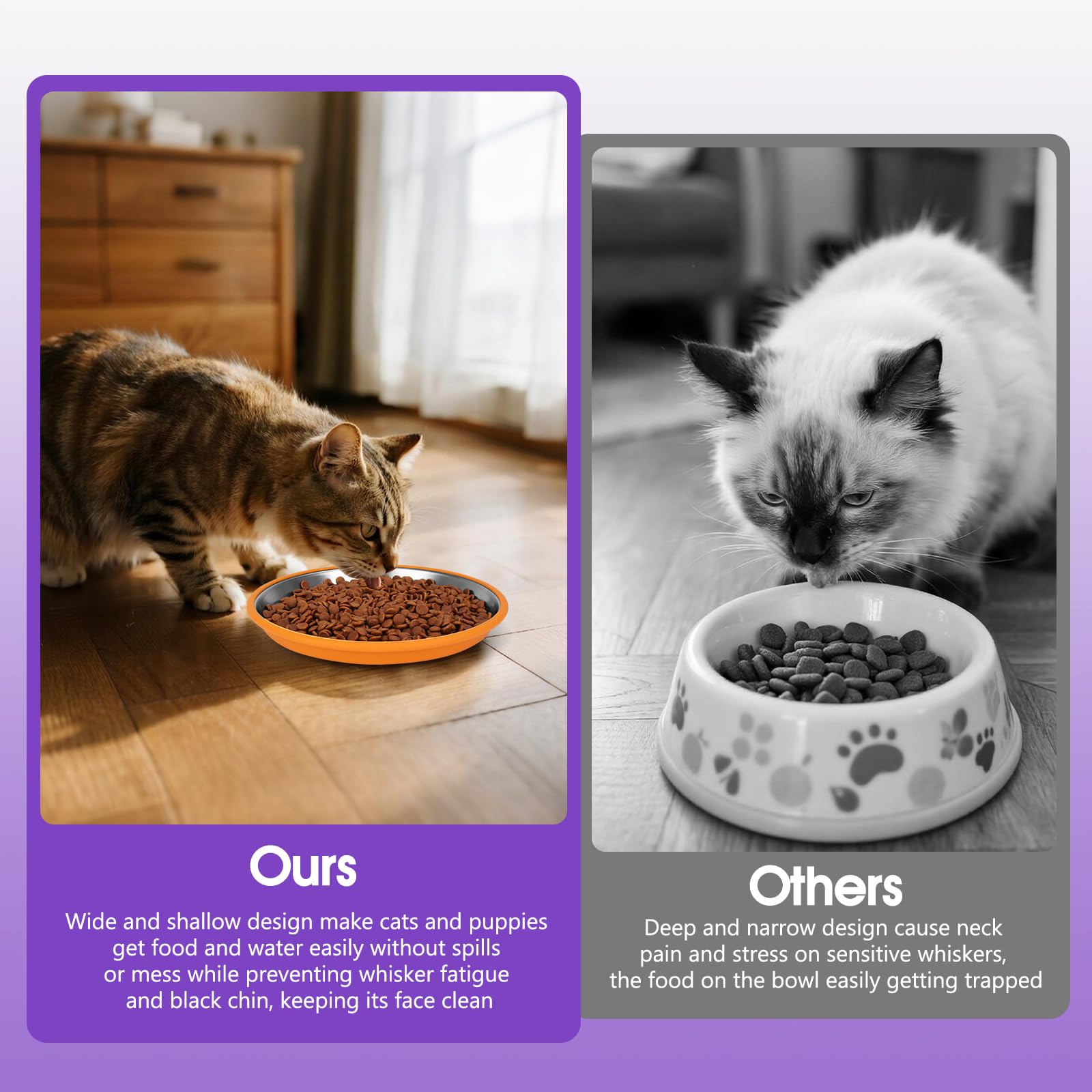 Yummy Sam portable stackable cat bowl set for travel and on the go feeding