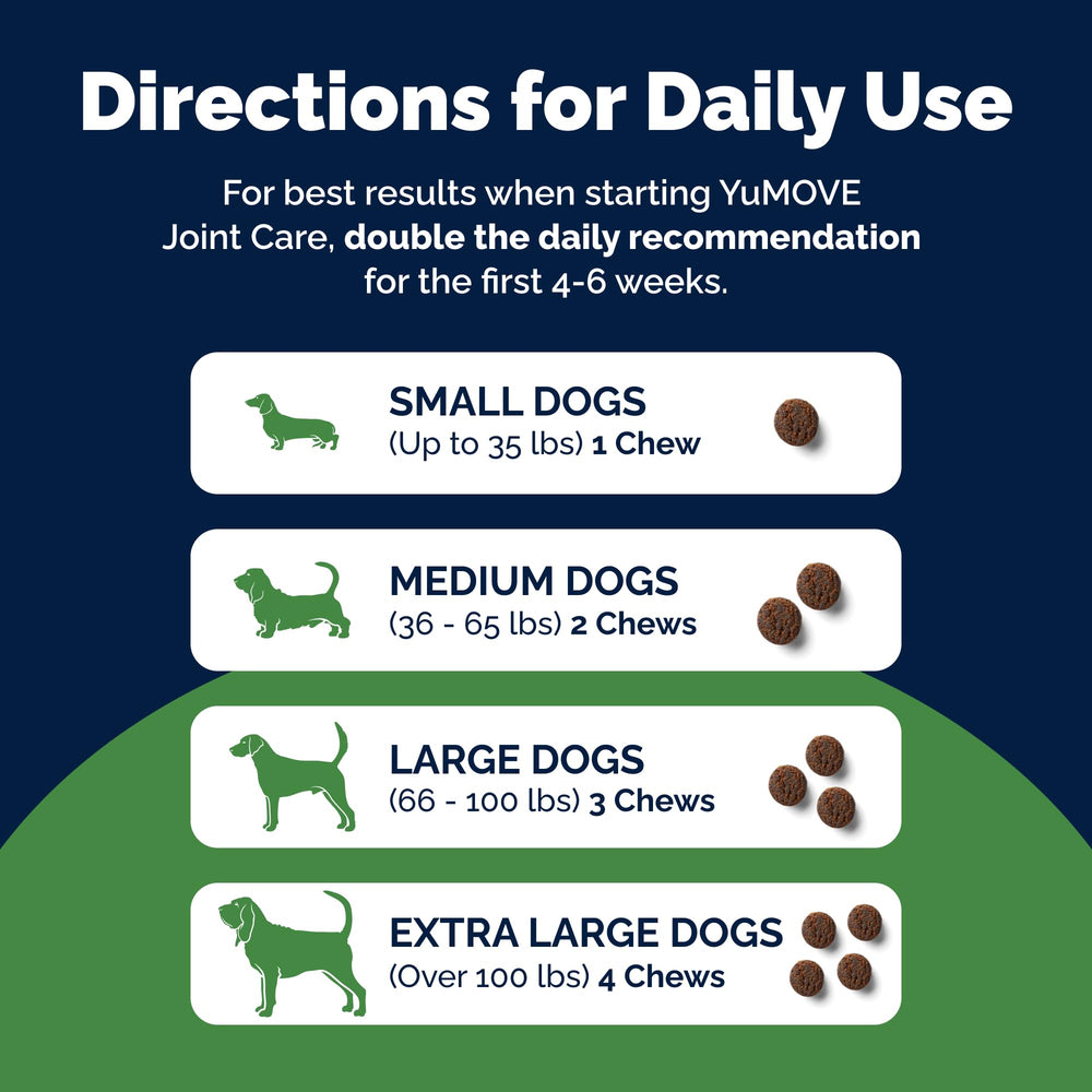 YuMOVE active dog lifestyle image demonstrating movement and play