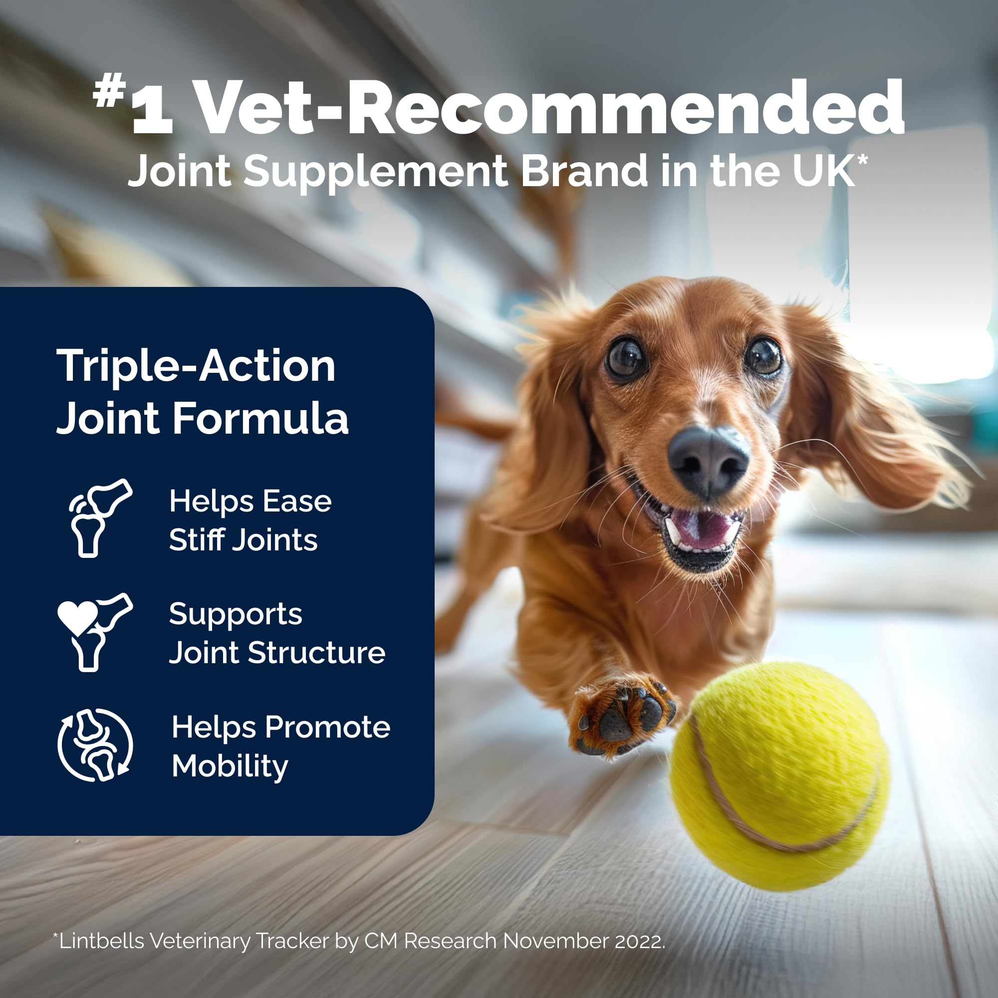 YuMOVE ingredients panel featuring Hyaluronic Acid supports joint lubrication