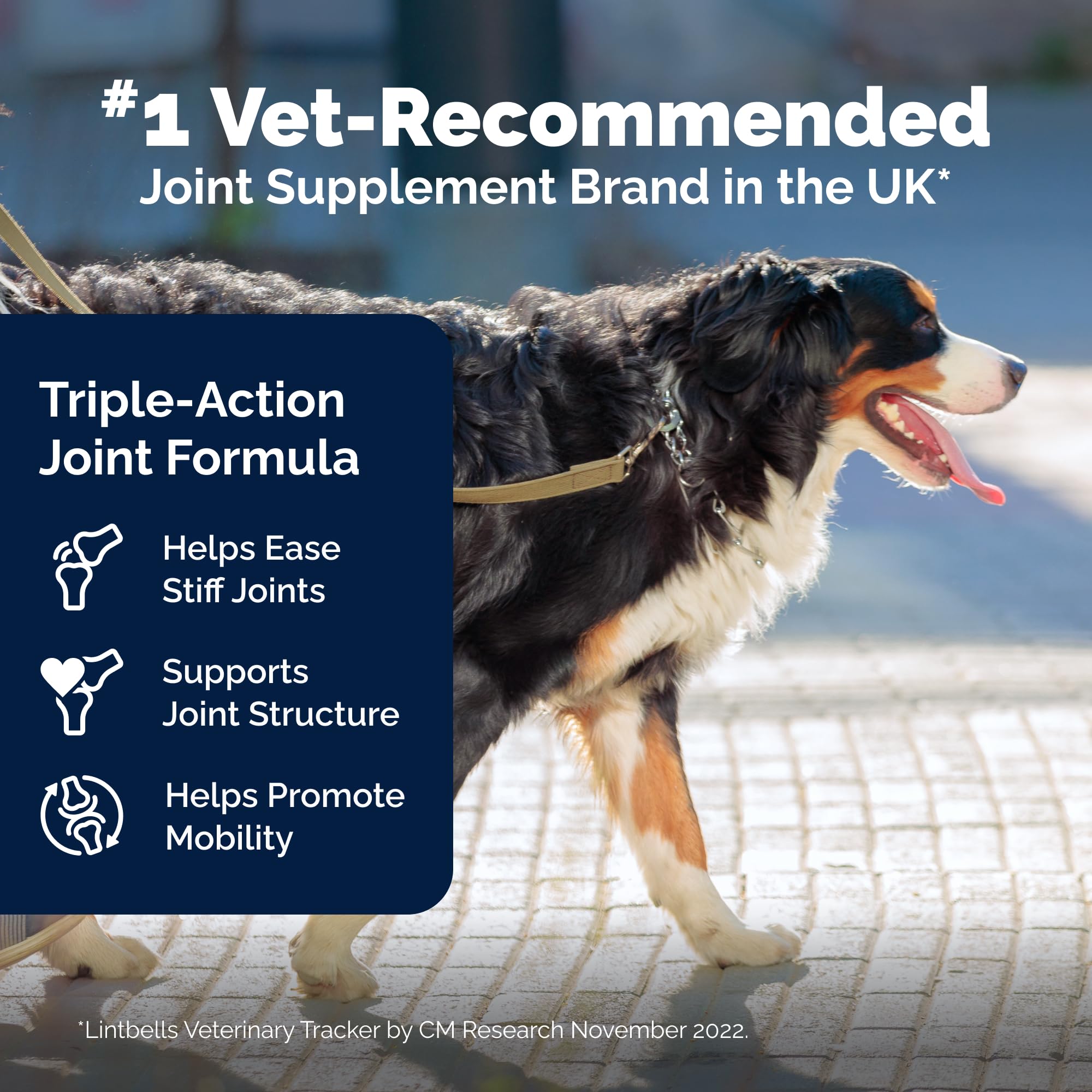 YuMOVE hyaluronic acid chew supports joint lubrication