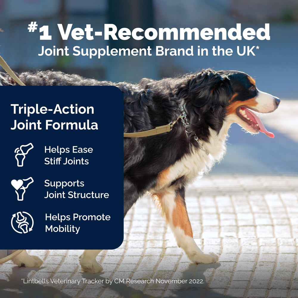 YuMOVE hyaluronic acid chew supports joint lubrication