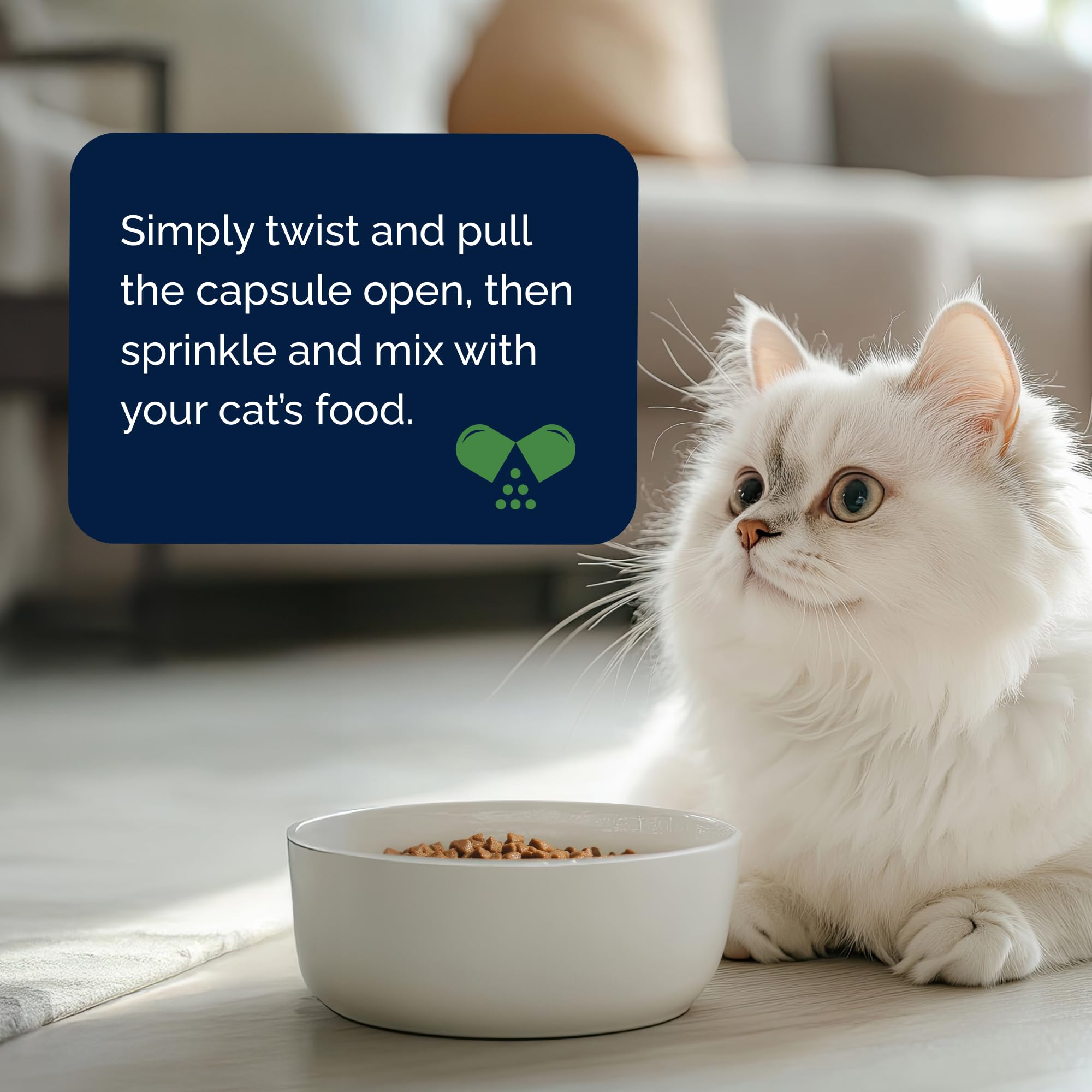 YuMOVE made in USA label on cat joint supplement bottle.