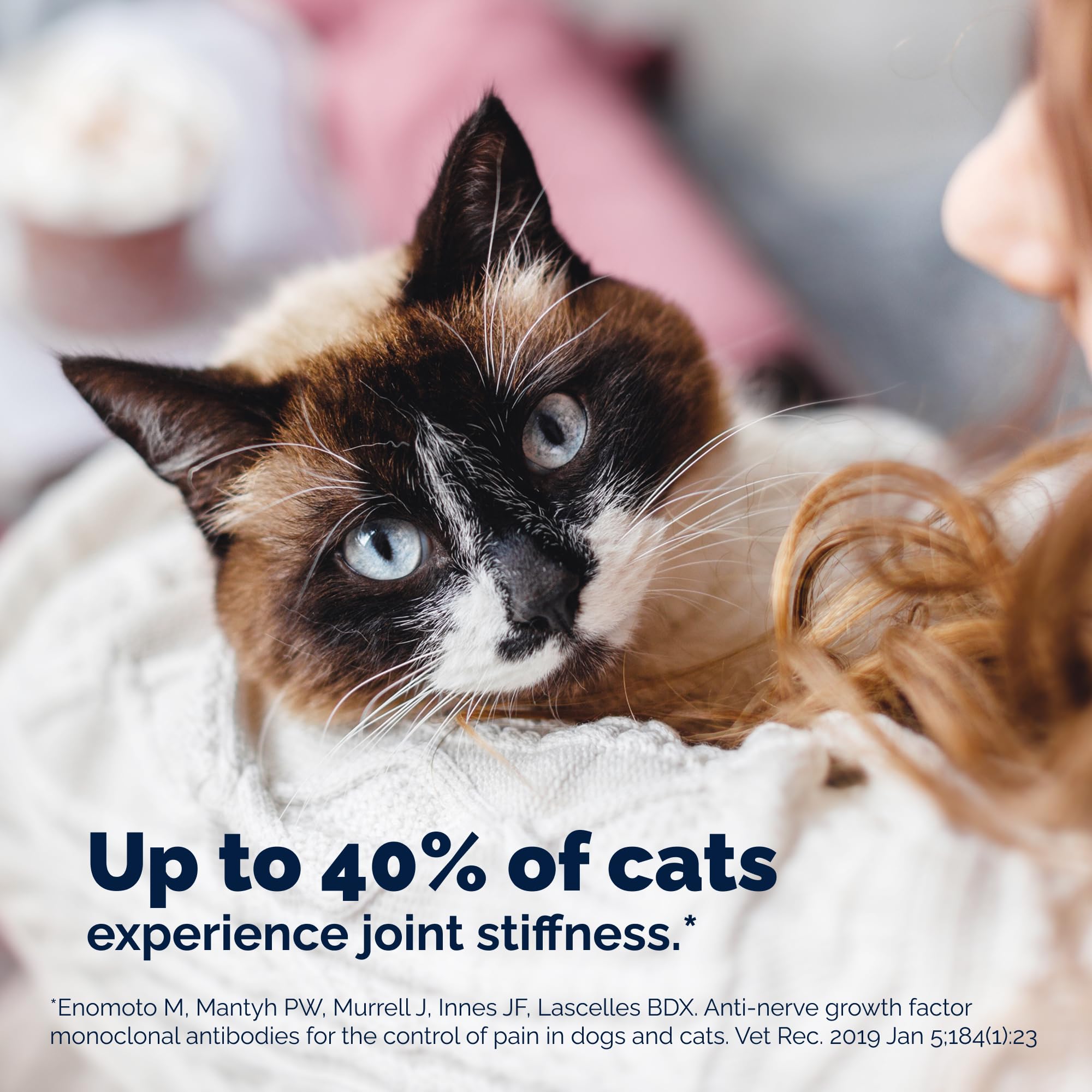 YuMOVE omega-3 rich formulation for cat nutrition and joint wellness.
