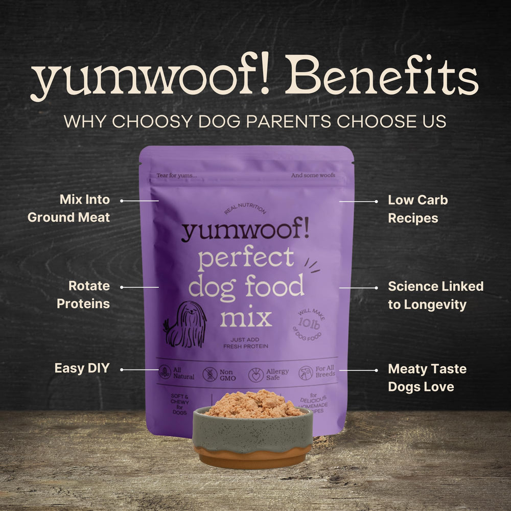 Yumwoof Perfect Dog Food Mix baking scene showing easy prep