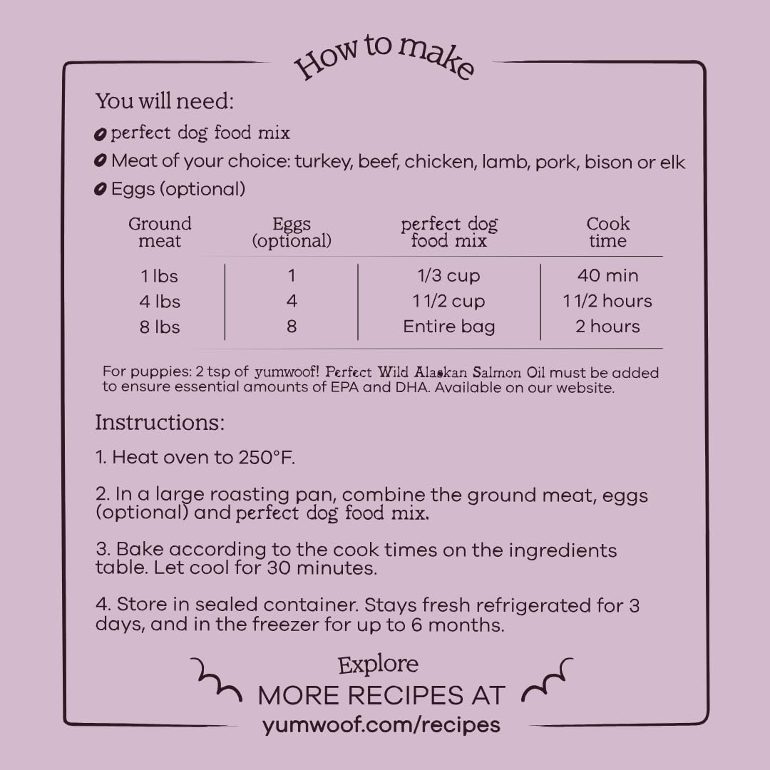 Yumwoof Perfect Dog Food Mix ingredients close-up highlighting coconut flour and pumpkin