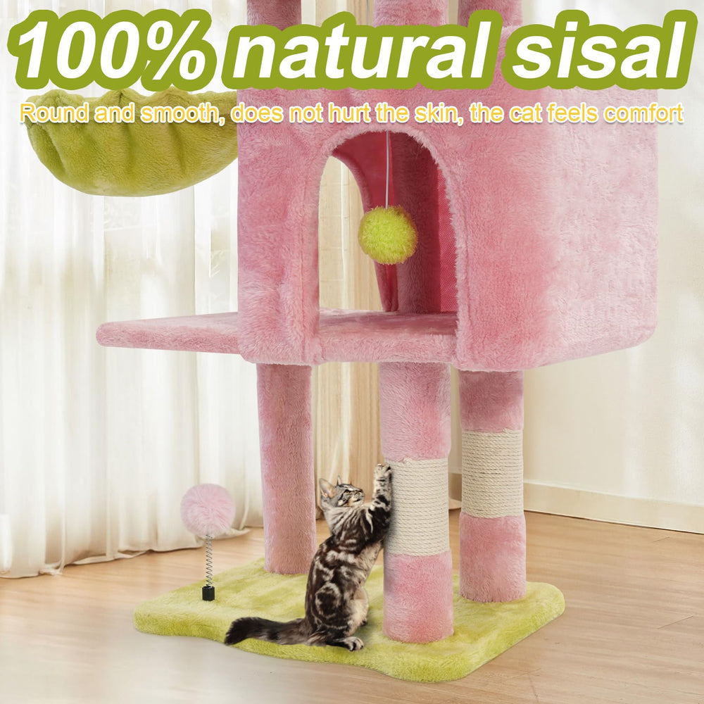 Yungaspy private cat condo offers a quiet snooze spot.