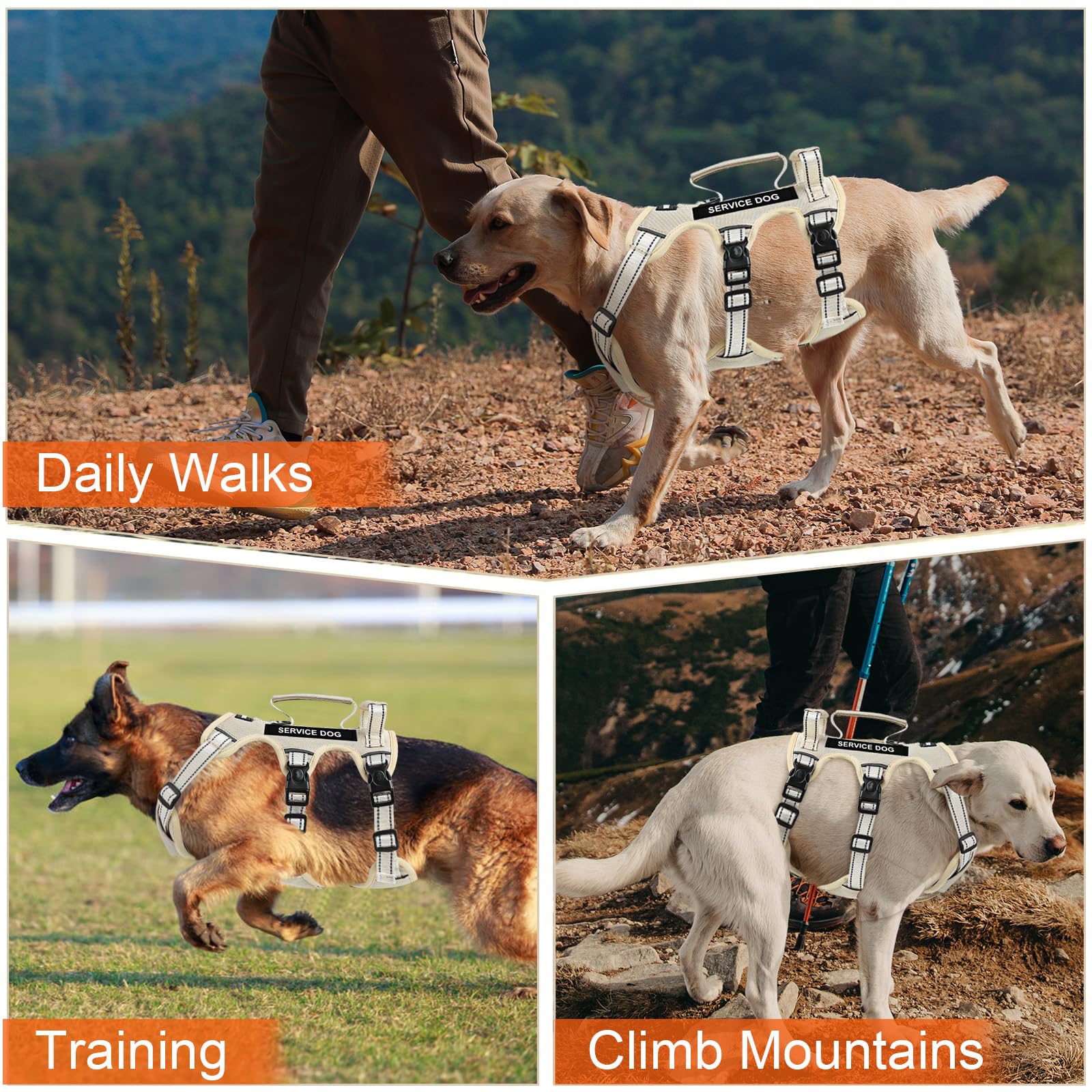 Yungaspy complete dog harness set includes leash and car seat belt