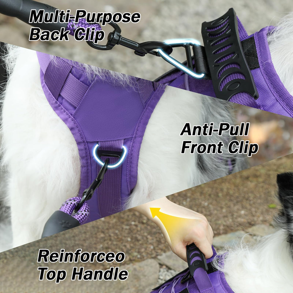 Yungaspy leash set purple demonstrates an all-in-one training kit
