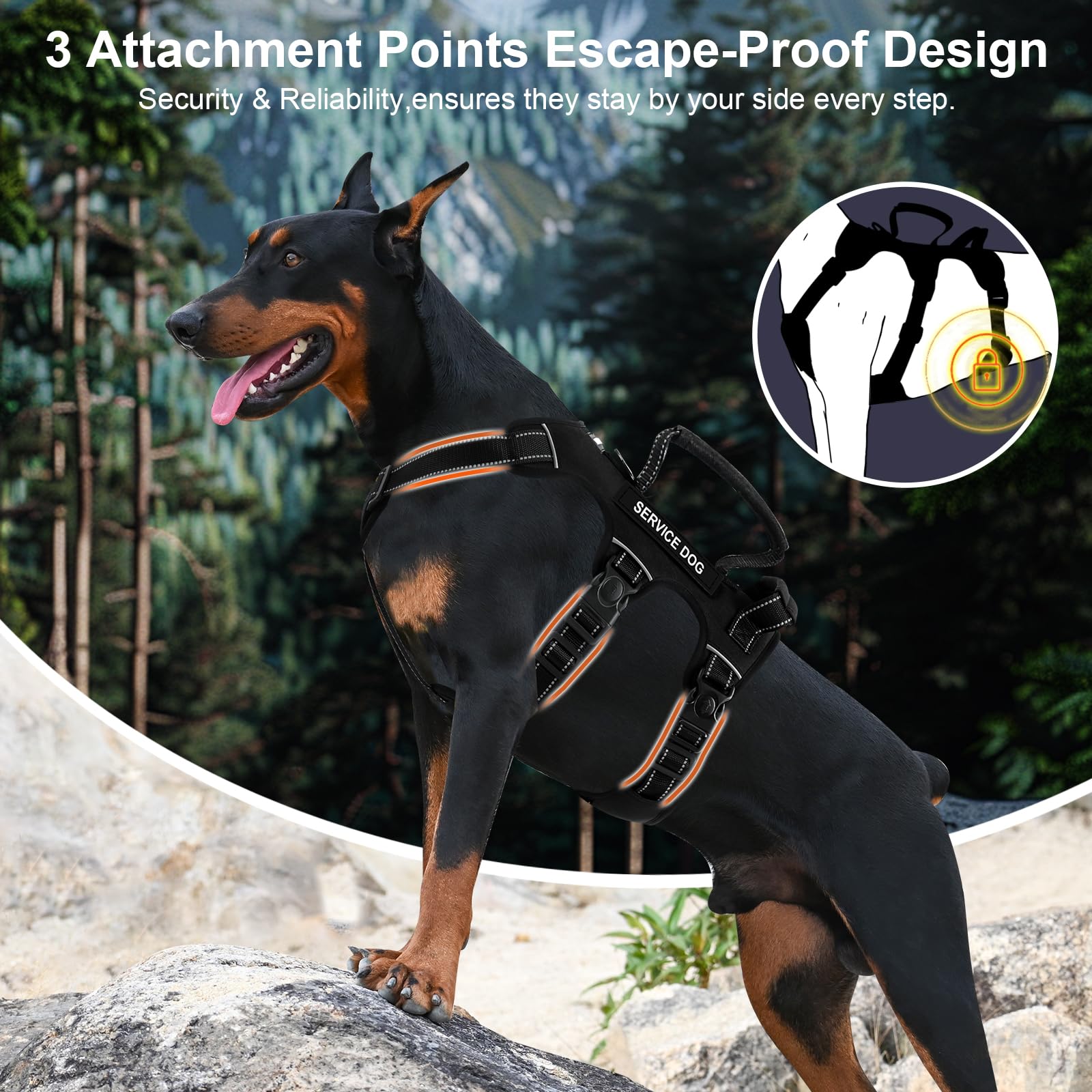 Yungaspy escape-proof dog harness back view with handles and reinforced straps for control