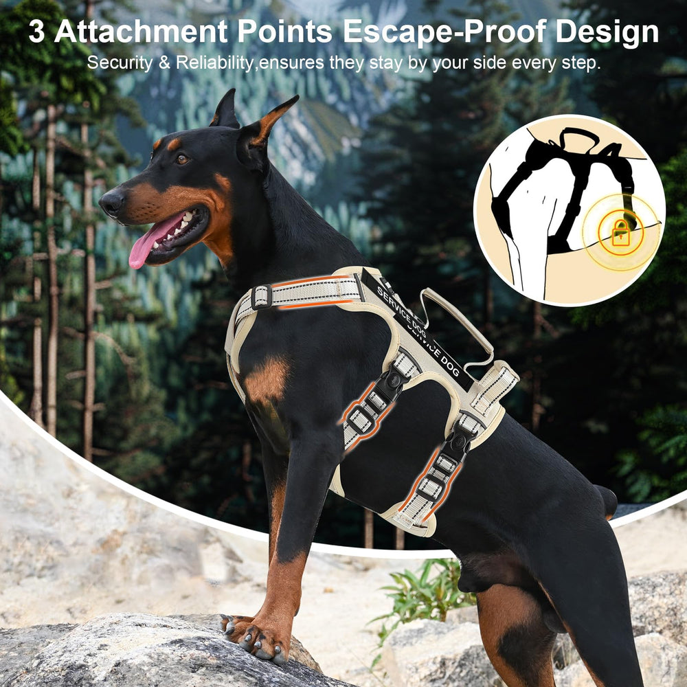 Yungaspy escape-proof harness back view with dual handles for control