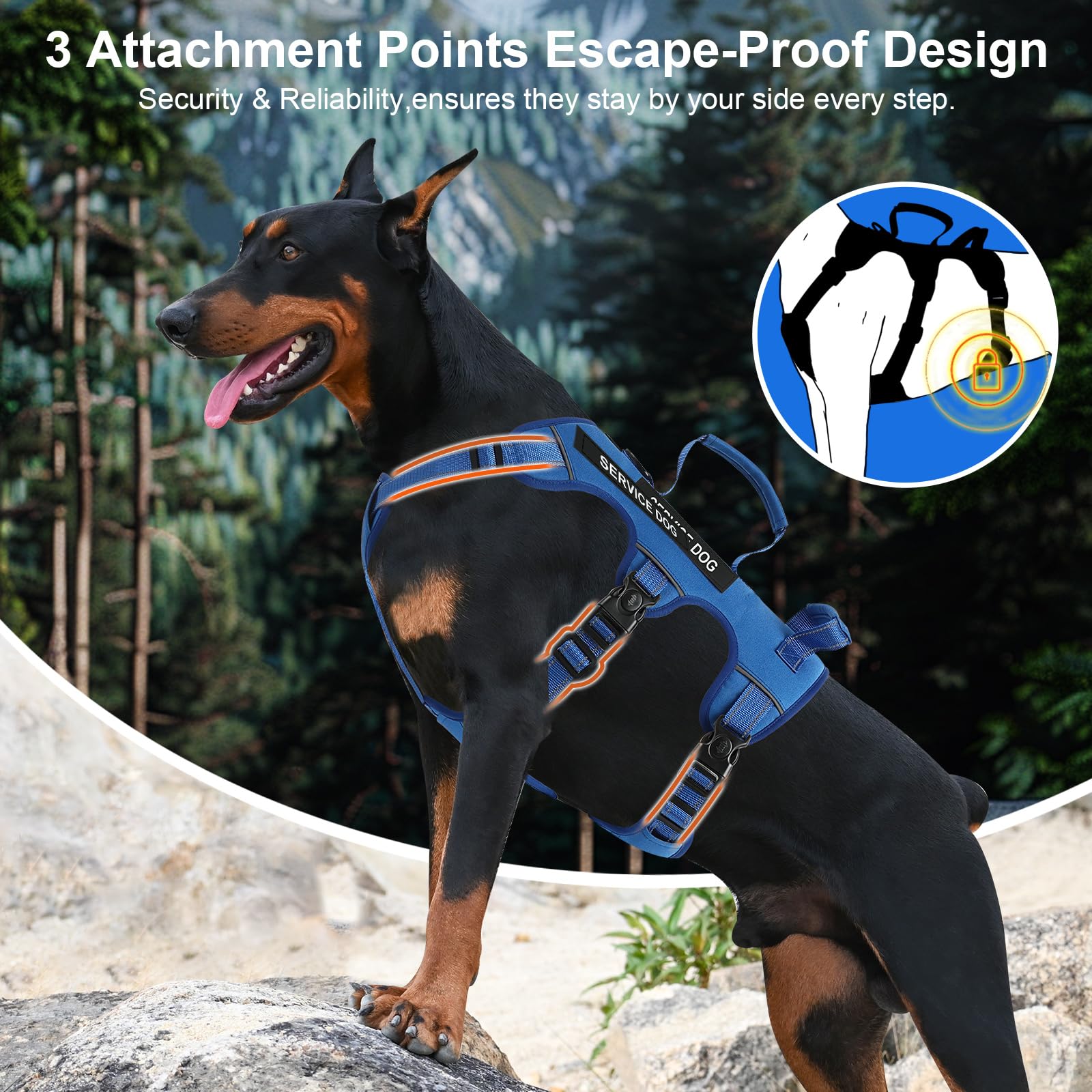 Yungaspy escape-proof harness blue back view with dual handles for control.