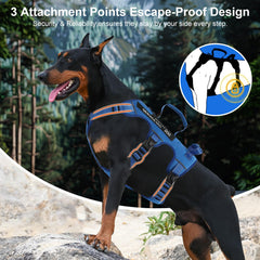 Yungaspy escape-proof harness blue back view with dual handles for control.