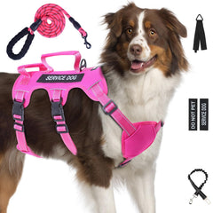 Yungaspy Escape-Proof Harness full set view enhances walk control and confidence.