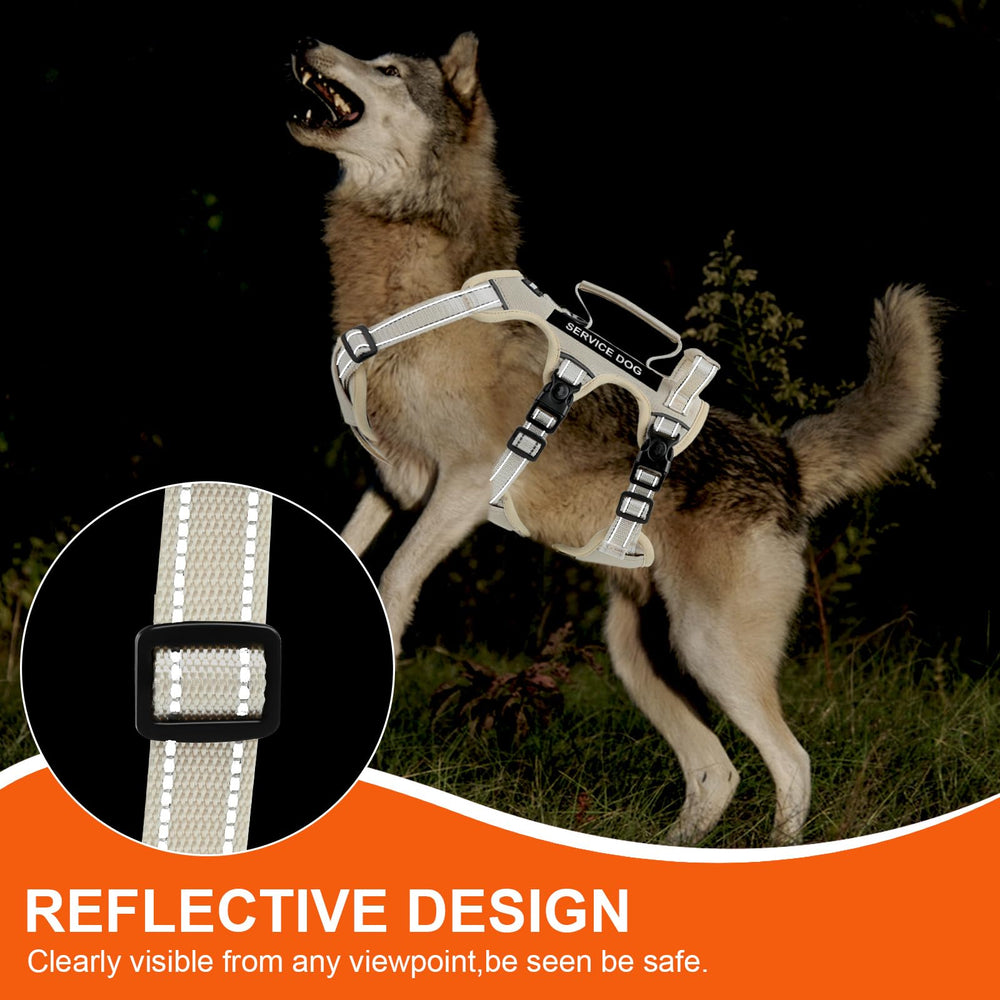 Yungaspy harness back with handles for maneuvering obstacles