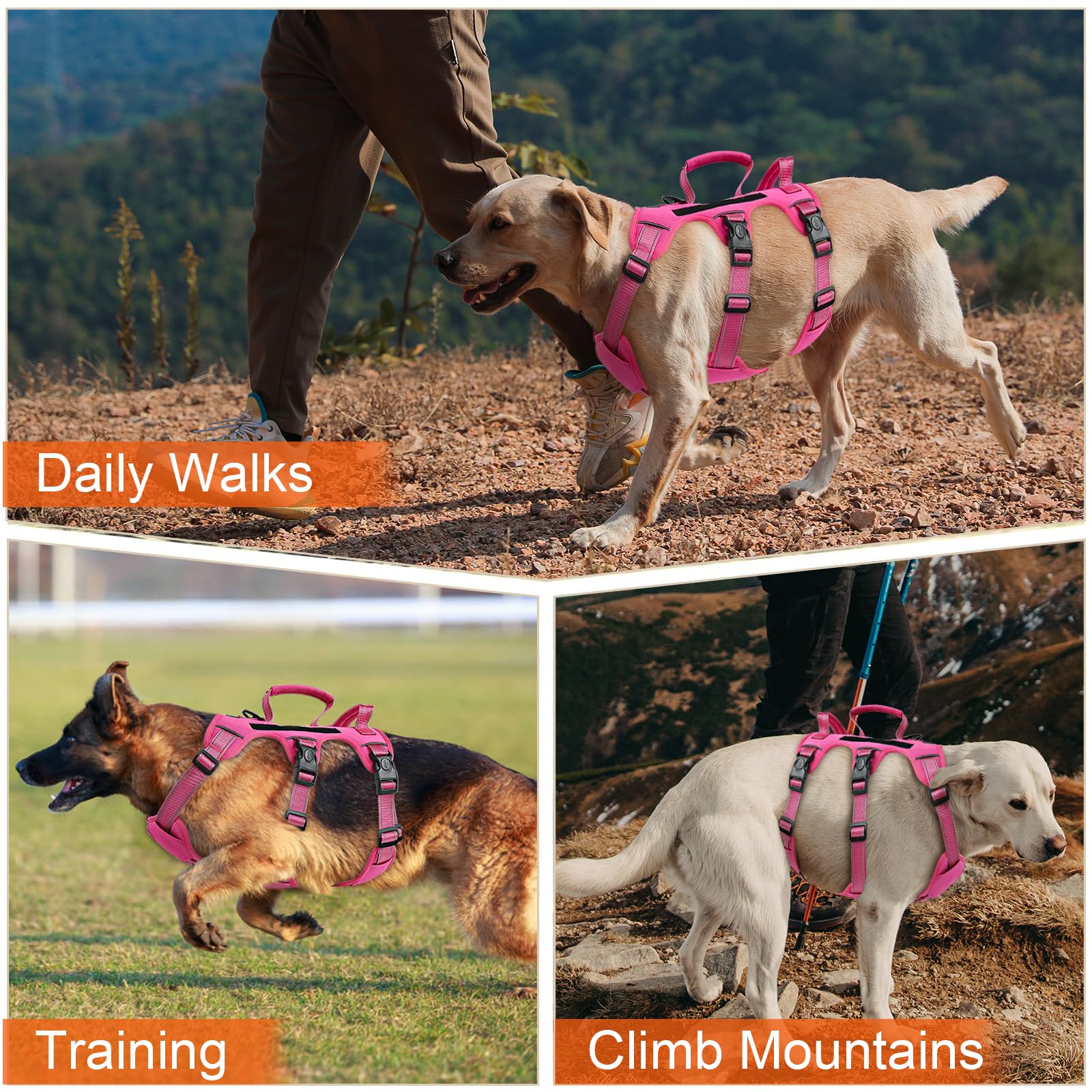 Yungaspy leash and car seat belt complete travel safety kit.