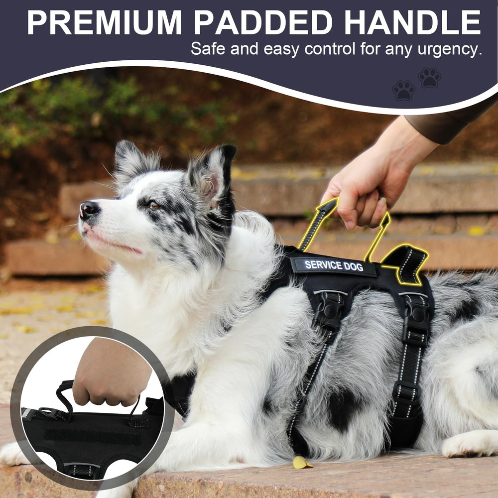 Yungaspy lockable buckle on harness ensures reduced escape risk during walks