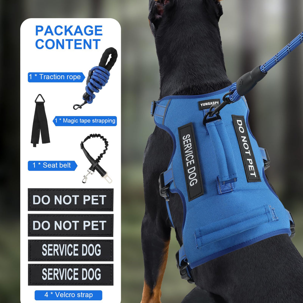 Yungaspy lockable buckle harness shows enhanced security during walks.