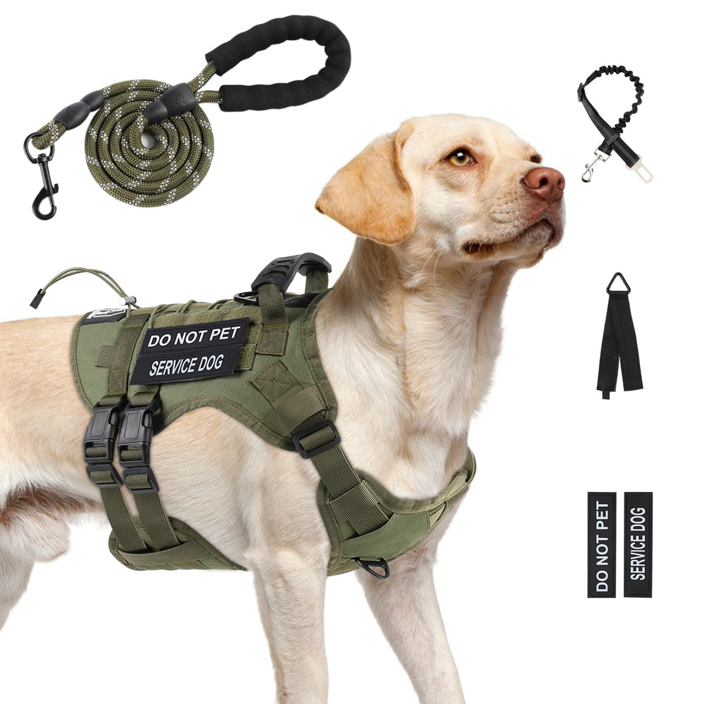 Yungaspy No Pull harness front view demonstrates secure fit for controlled outdoor walks.