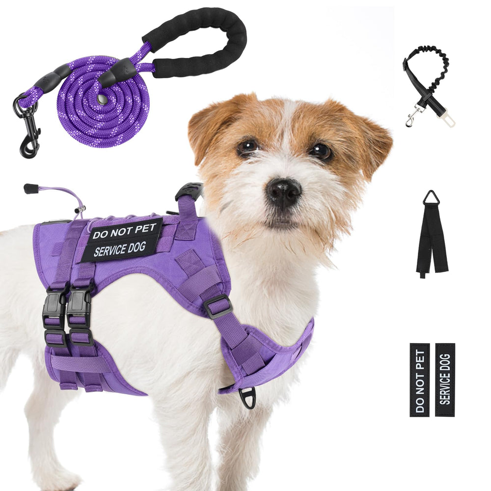 Yungaspy No Pull Tactical Harness small purple front view for controlled walking
