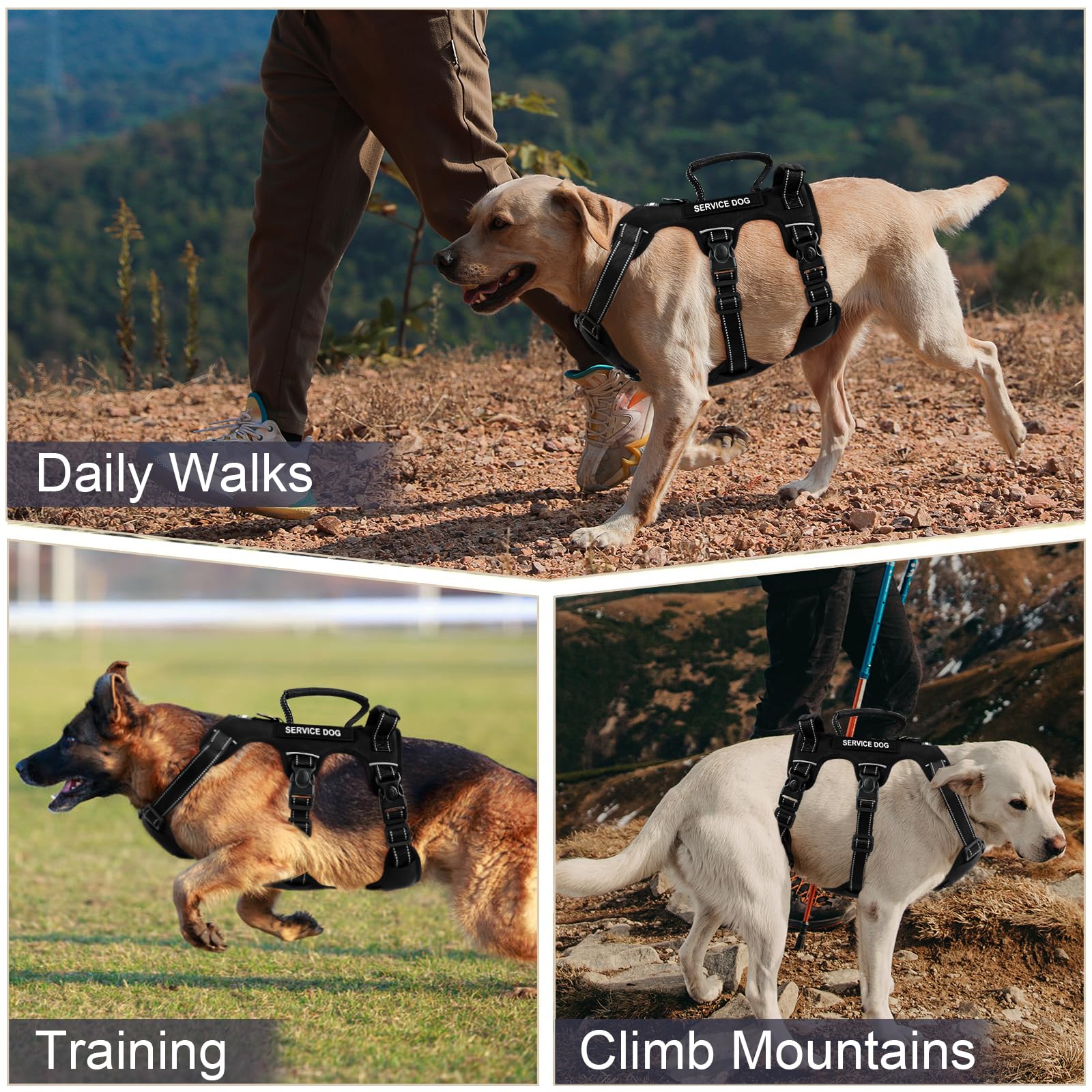 Yungaspy reflective night-walk harness improves visibility during evening strolls
